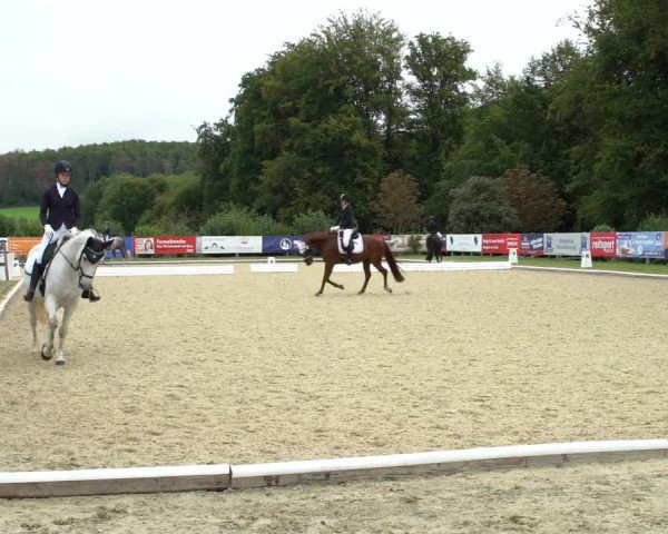 Reitturnier Hof Bettenrode 2020