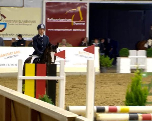 jumper Gracy Lou 3 (Hanoverian, 2007, from Graf Remus)