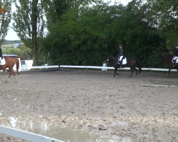 Reitturnier Leverkusen - Teitscheider Hof 2020