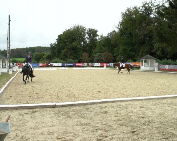 Reitturnier Hof Bettenrode 2020