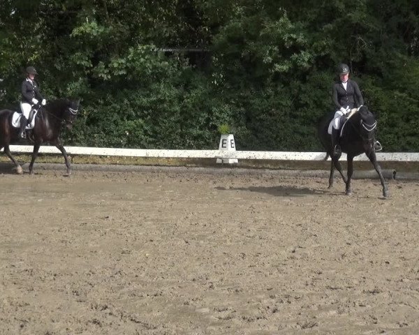 Reitturnier Leverkusen - Teitscheider Hof 2020
