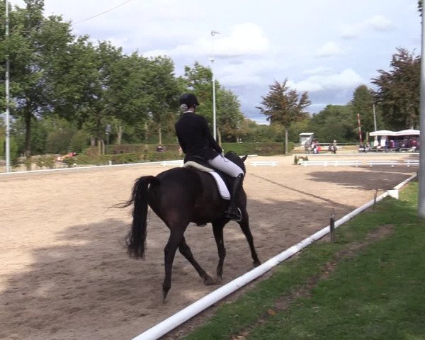 Reitturnier Fröndenberg 2020