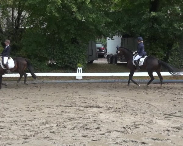 Reitturnier Leverkusen - Teitscheider Hof 2020