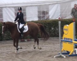 Springpferd La Diablesse (Westfale, 2010, von Ludwigs As)