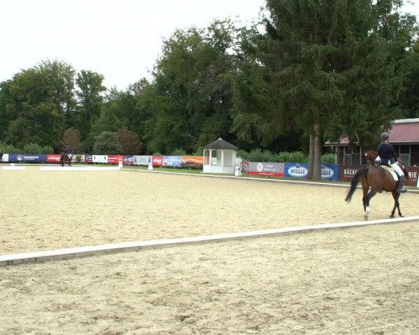 Reitturnier Hof Bettenrode 2020