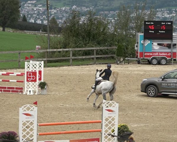 Reitturnier Wädenswil 2020