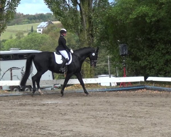 Reitturnier Leverkusen - Teitscheider Hof 2020