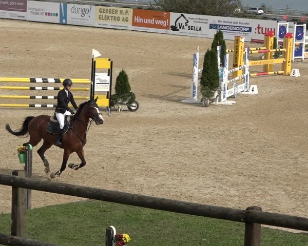 Reitturnier Wädenswil 2020