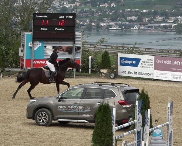 Reitturnier Wädenswil 2020