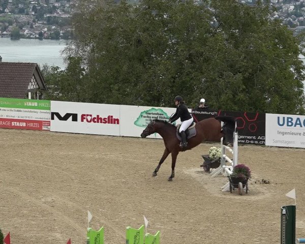 Reitturnier Wädenswil 2020