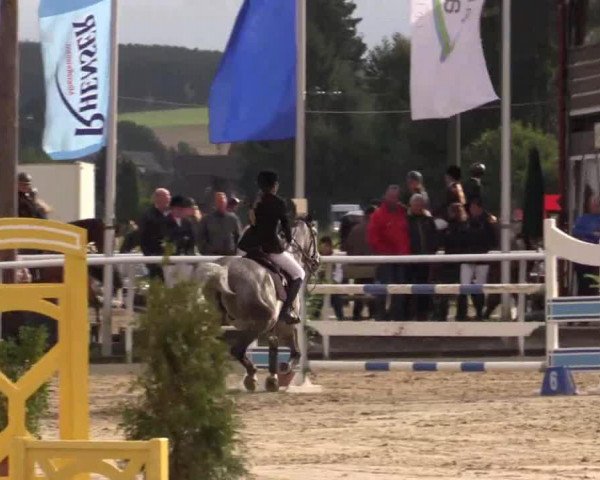 stallion Lanziano (Rhinelander, 2006, from Laccos T) stallion Lanziano (Rhinelander, 2006, from Laccos T)