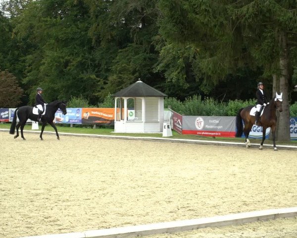 Reitturnier Hof Bettenrode 2020