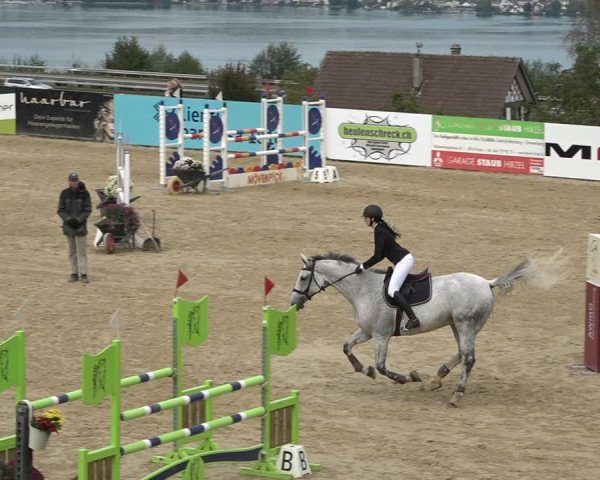 Reitturnier Wädenswil 2020