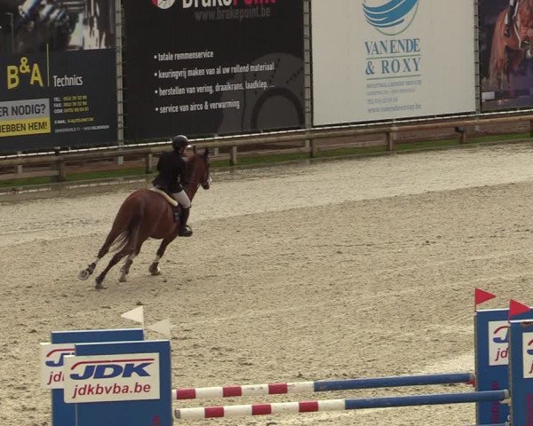 FEI Reitturnier Lier (BEL) 2020