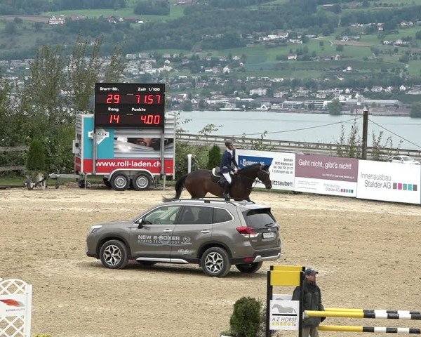 Reitturnier Wädenswil 2020