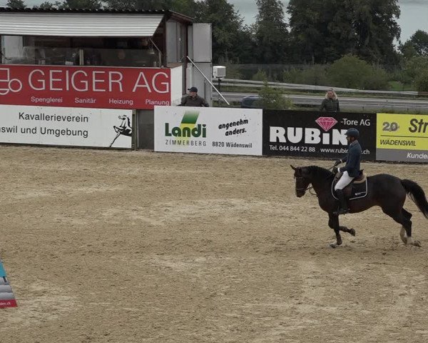 Reitturnier Wädenswil 2020