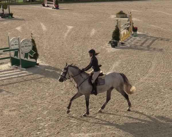 FEI Reitturnier Lier (BEL) 2020