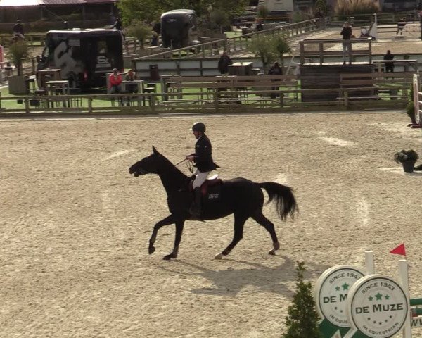 FEI Reitturnier Lier (BEL) 2020