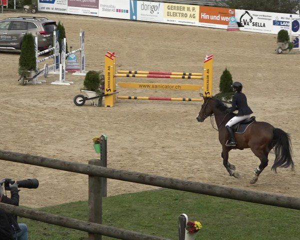 Reitturnier Wädenswil 2020