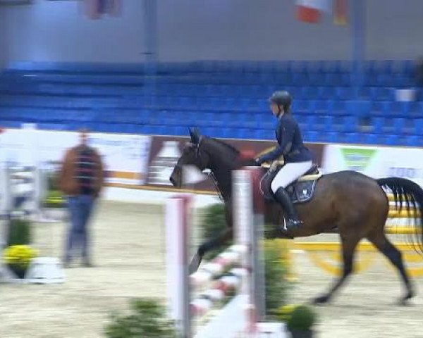 jumper Cabajito T (Oldenburg, 2009, from Clinton H)