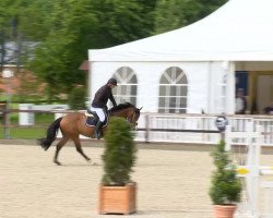 jumper Ekito 2 (KWPN (Royal Dutch Sporthorse), 2009, from Casco Boy)
