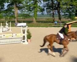 jumper Antigua 22 (Oldenburg, 2009, from Armitage)