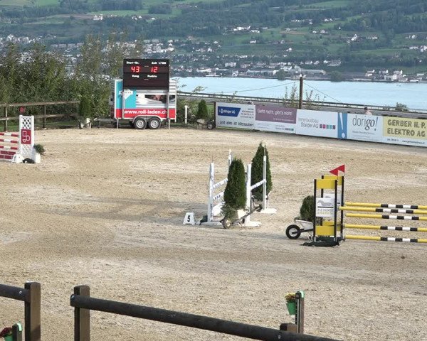 Reitturnier Wädenswil 2020