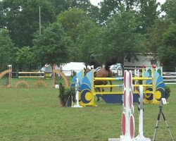 horse Volcanicity (unknown, 2004)