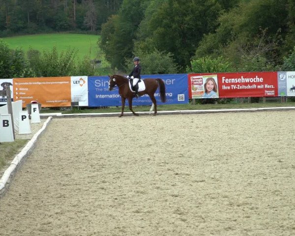 Reitturnier Hof Bettenrode 2020