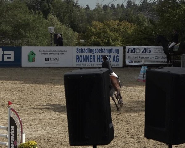 Reitturnier Wädenswil 2020