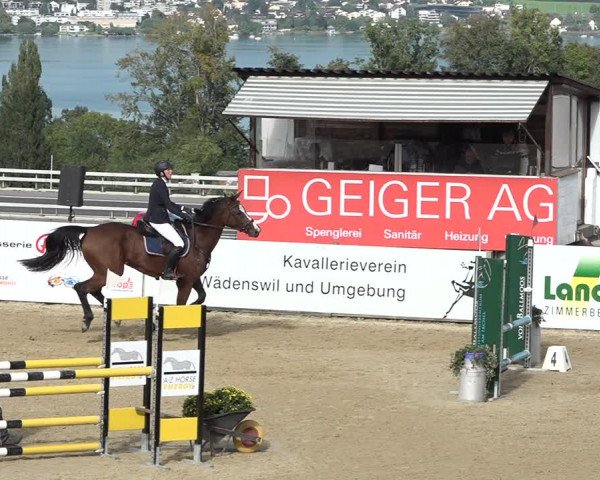 Reitturnier Wädenswil 2020