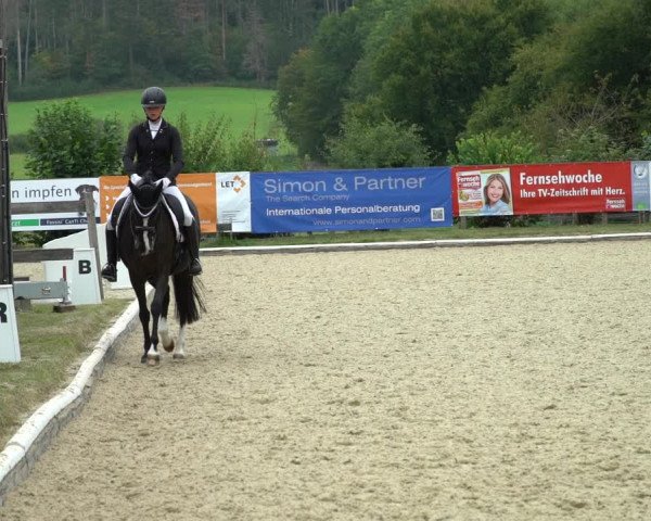 Reitturnier Hof Bettenrode 2020