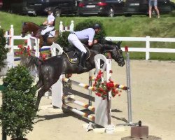 jumper La Poco 2 (German Sport Horse, 2009, from Pumped Up Kicks)