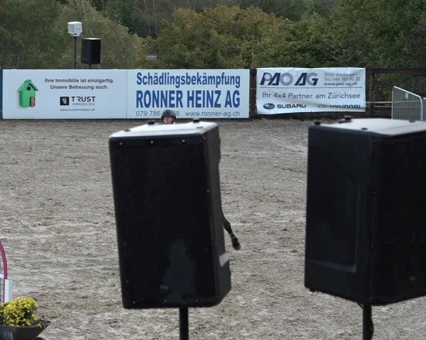 Reitturnier Wädenswil 2020
