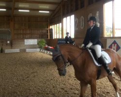 Dressage horse Lilu 6 (German Sport Horse, 2006, from Loredano 2)