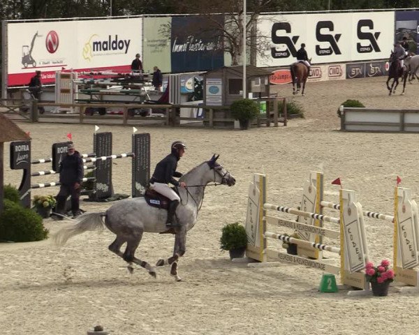 FEI Reitturnier Lier (BEL) 2020