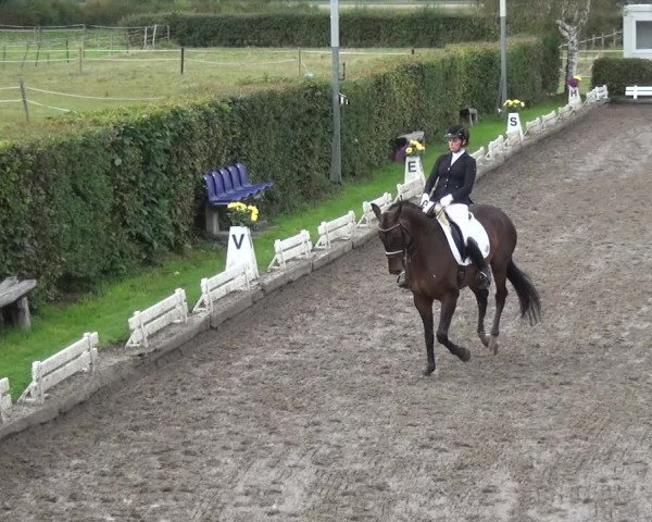 Reitturnier Übach-Palenberg - Scherpenseel 2020