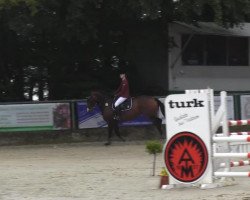 jumper Wei Ming (Hanoverian, 2006, from Weltregent H)