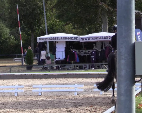 Reitturnier Fröndenberg 2020