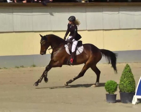 jumper Cedric 58 (unknown,  , from Christiano)