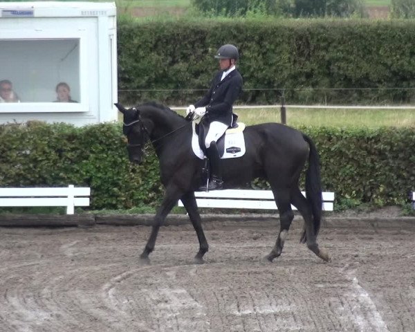 Reitturnier Übach-Palenberg - Scherpenseel 2020