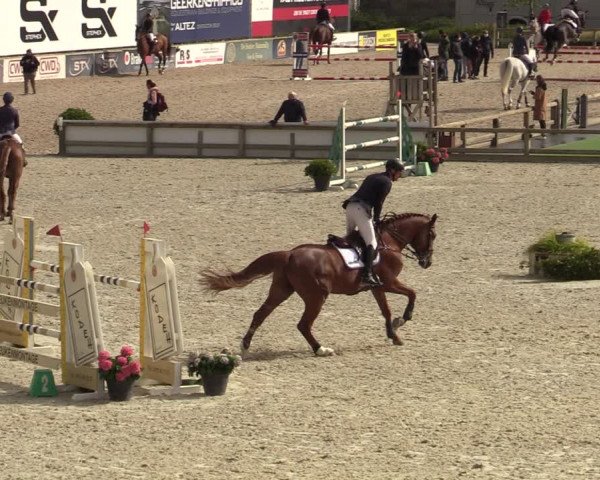 FEI Reitturnier Lier (BEL) 2020