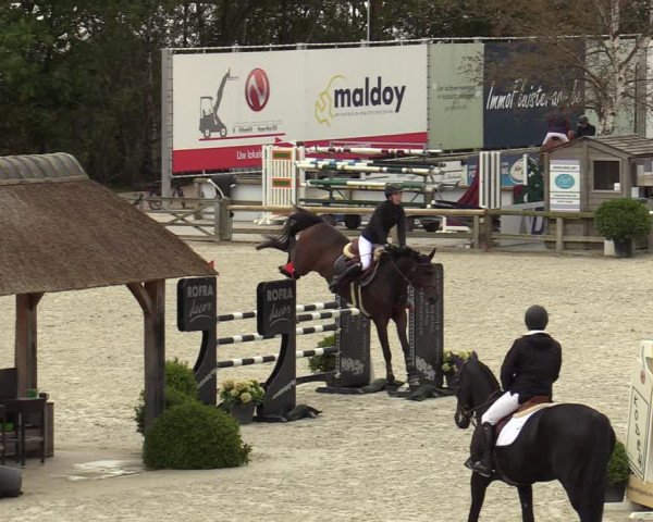 FEI Reitturnier Lier (BEL) 2020