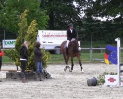 Springpferd Caminar 2 (Westfale, 2010, von Camax L)