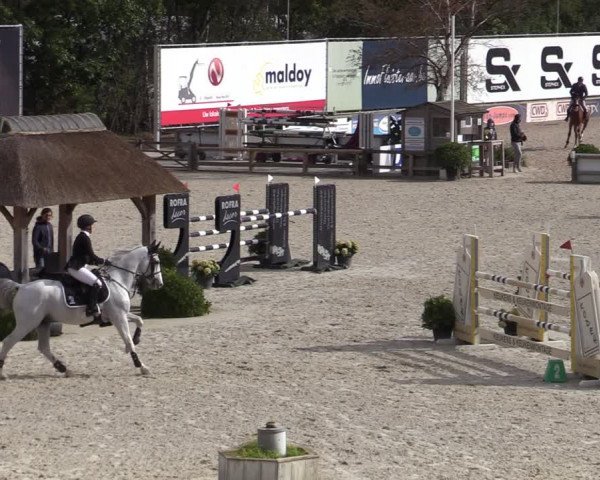FEI Reitturnier Lier (BEL) 2020