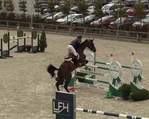 FEI Reitturnier Lier (BEL) 2020