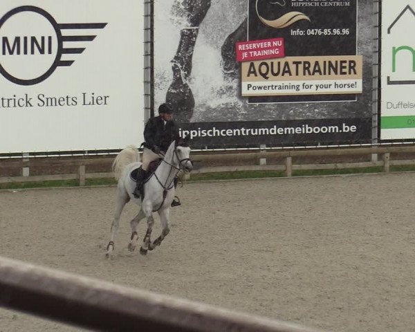 FEI Reitturnier Lier (BEL) 2020