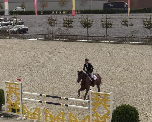 FEI Reitturnier Lier (BEL) 2020
