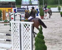 jumper Dias 7 (unknown, 2009)