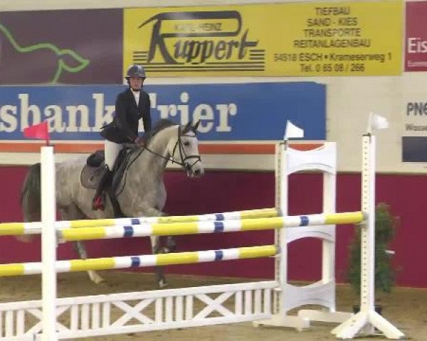 jumper Chicca (Holsteiner, 2009, from Cassus 2)